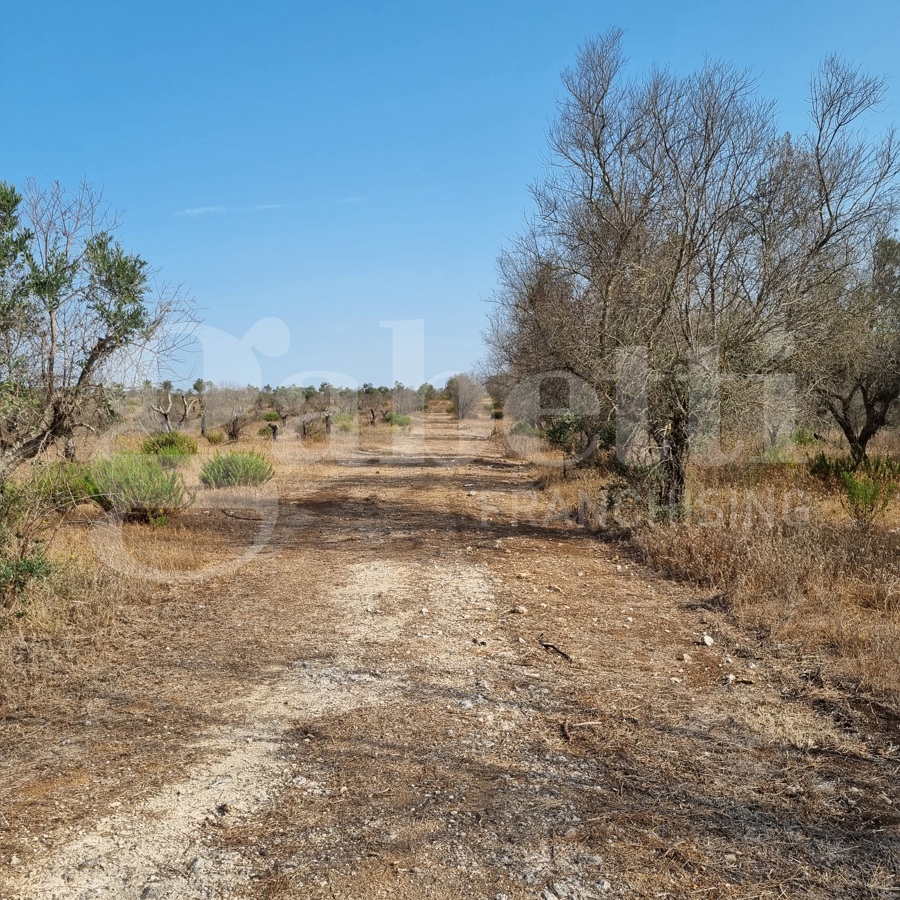 Rustico con giardino a Ugento