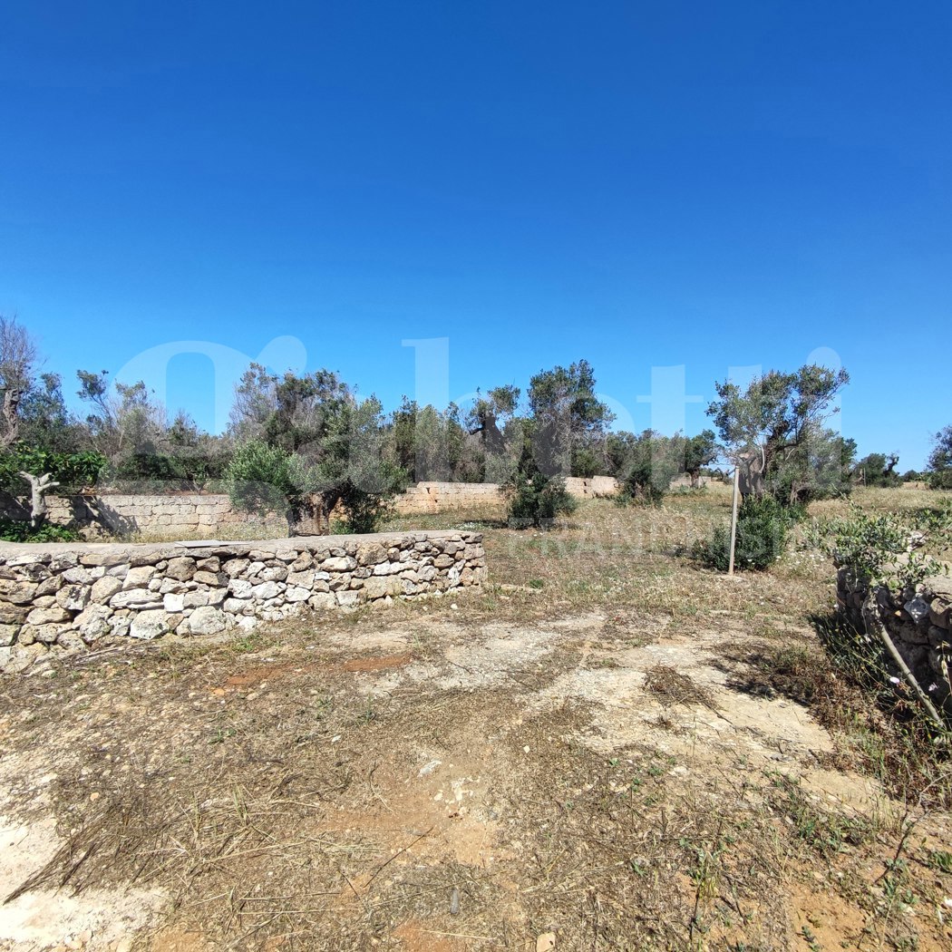 Terreno Agricolo in vendita a Ugento