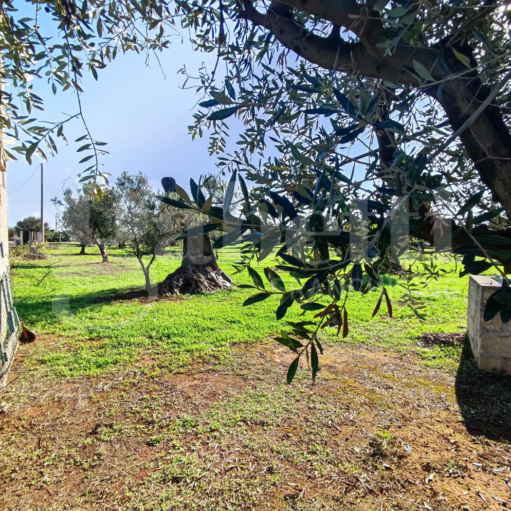 Terreno Agricolo in vendita a Ugento