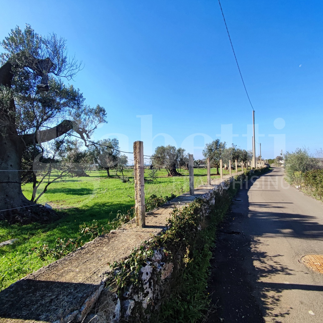 Terreno Agricolo in vendita a Ugento