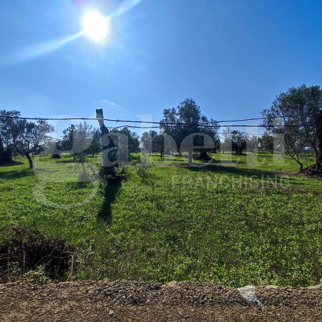 Terreno Agricolo in vendita a Ugento