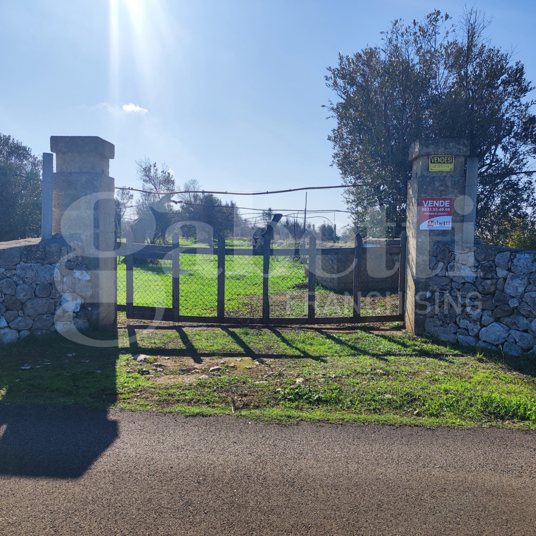 Terreno Agricolo in vendita a Ugento