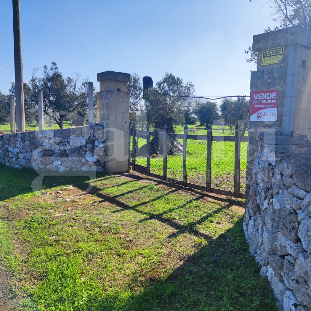 Terreno Agricolo in vendita a Ugento
