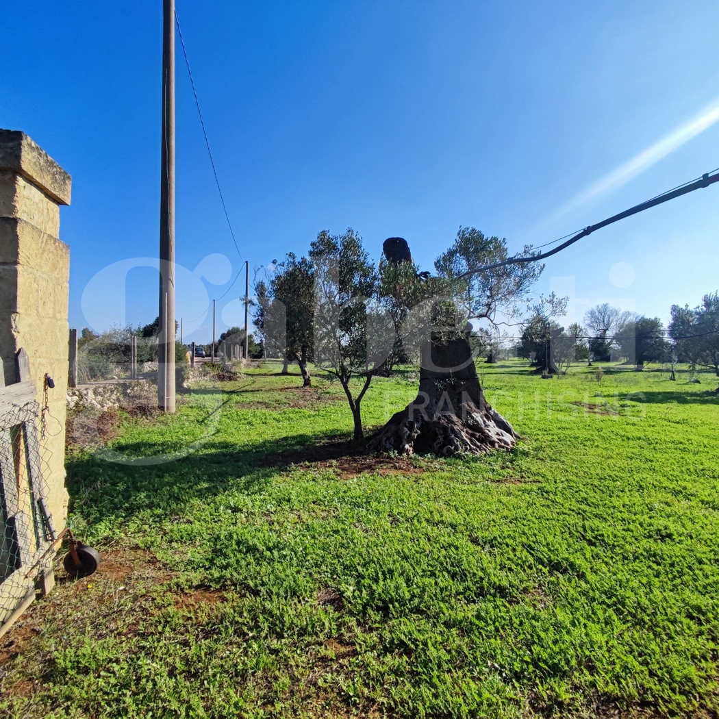 Terreno Agricolo in vendita a Ugento
