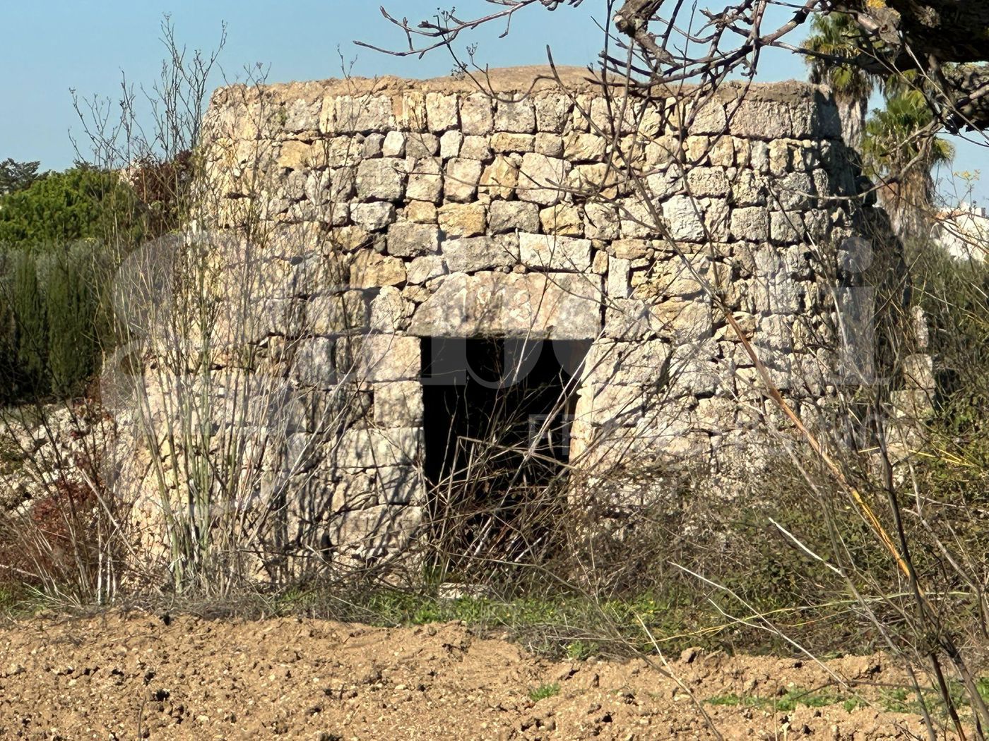 Terreno Agricolo in vendita a Ugento