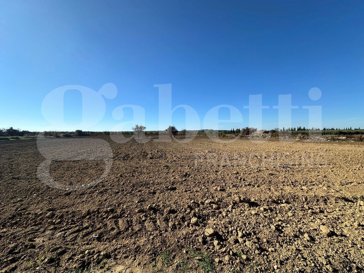 Terreno Agricolo in vendita a Ugento