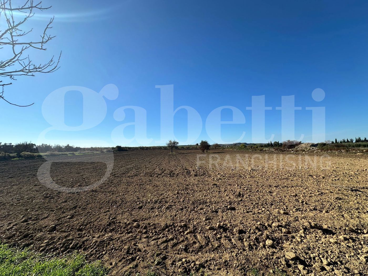 Terreno Agricolo in vendita a Ugento