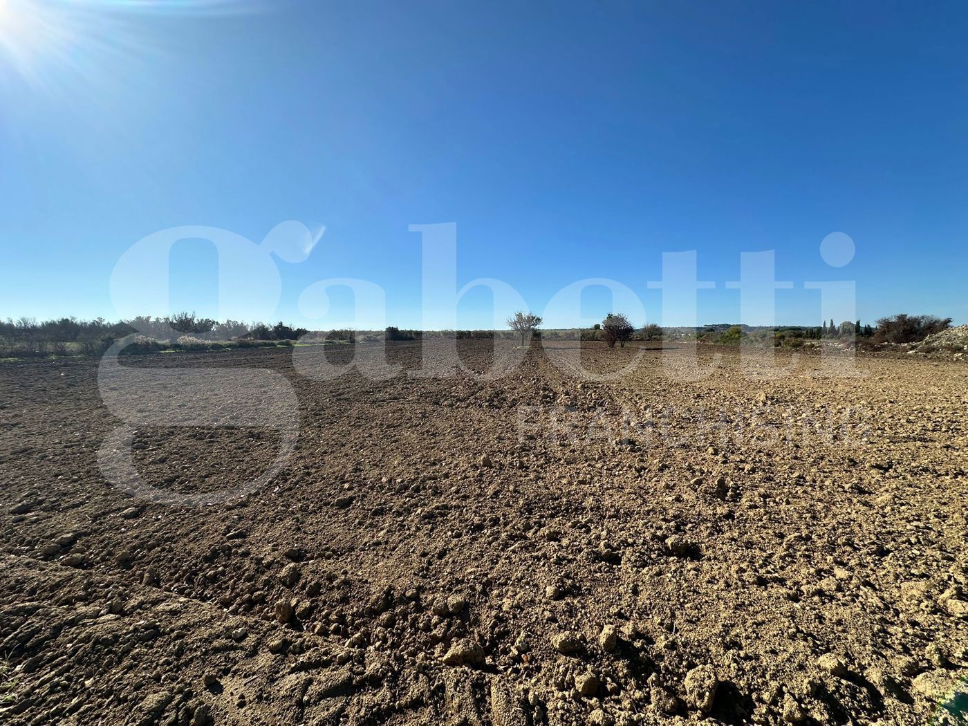 Terreno Agricolo in vendita a Ugento