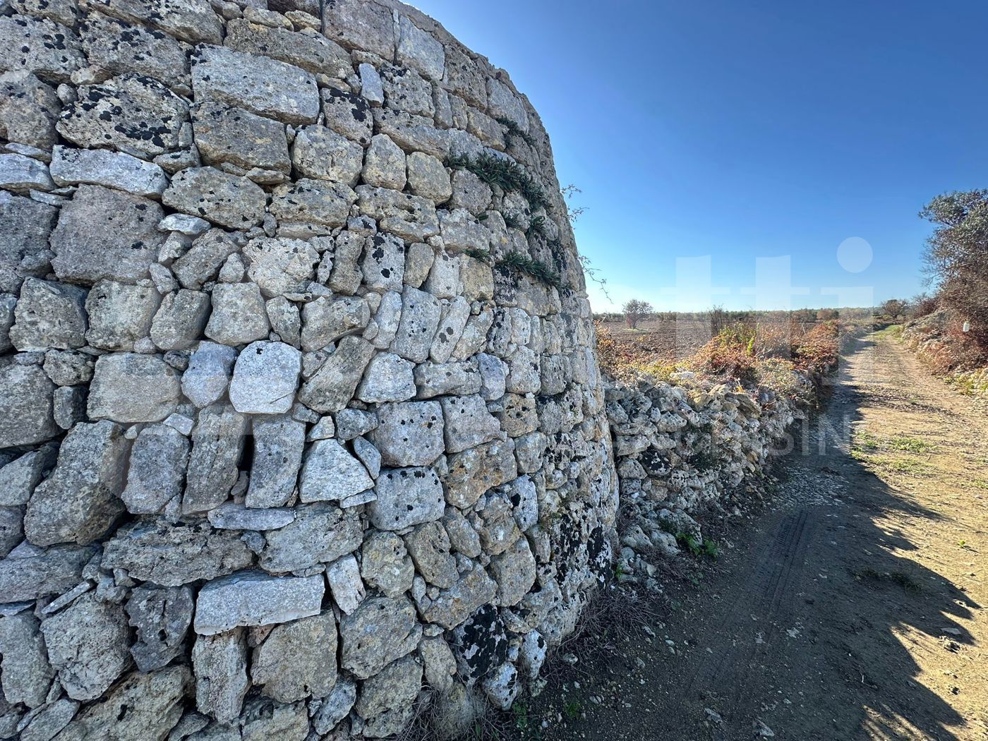 Terreno Agricolo in vendita a Ugento