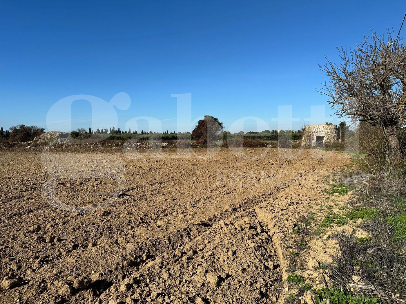 Terreno Agricolo in vendita a Ugento