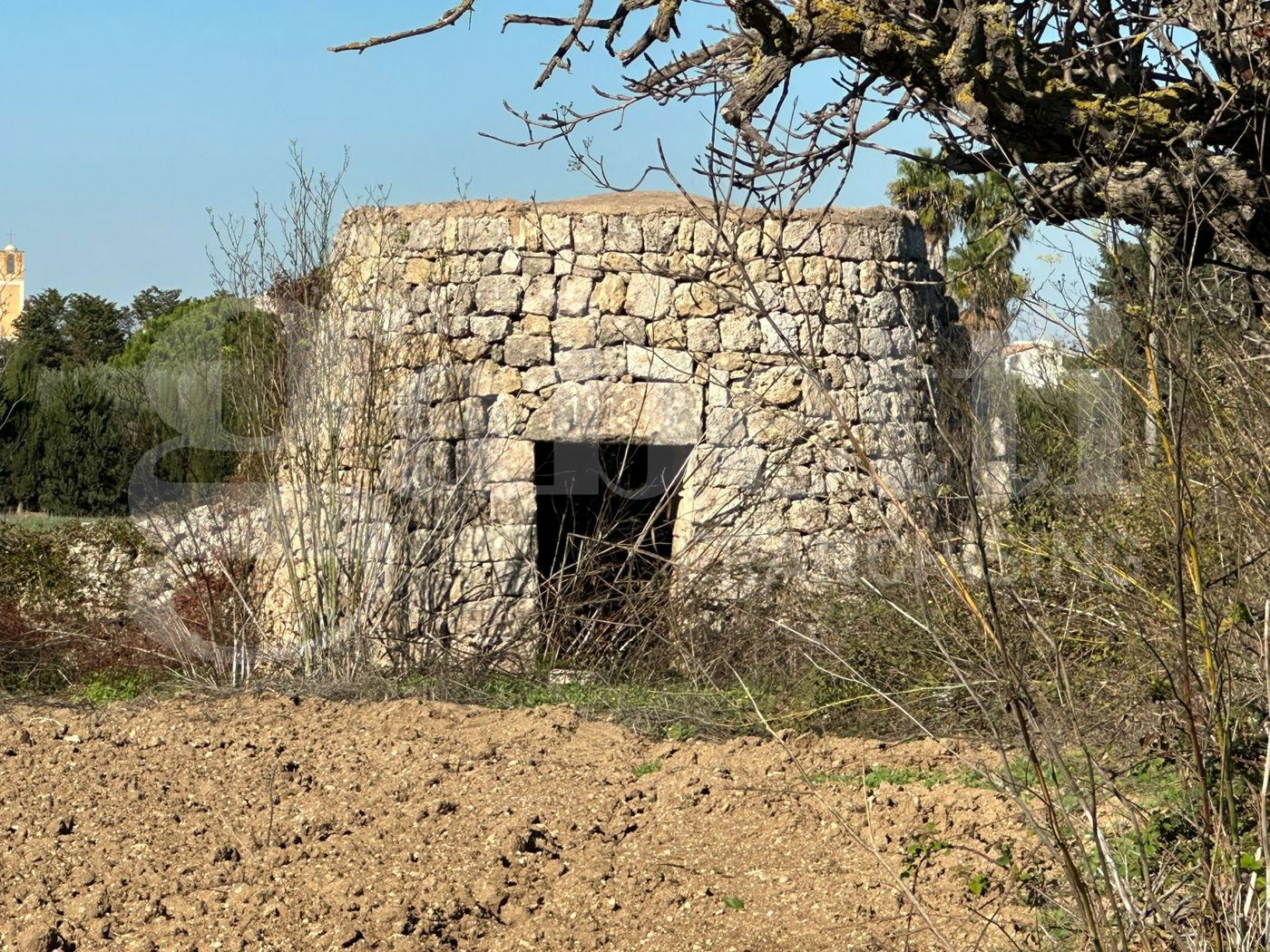Terreno Agricolo in vendita a Ugento
