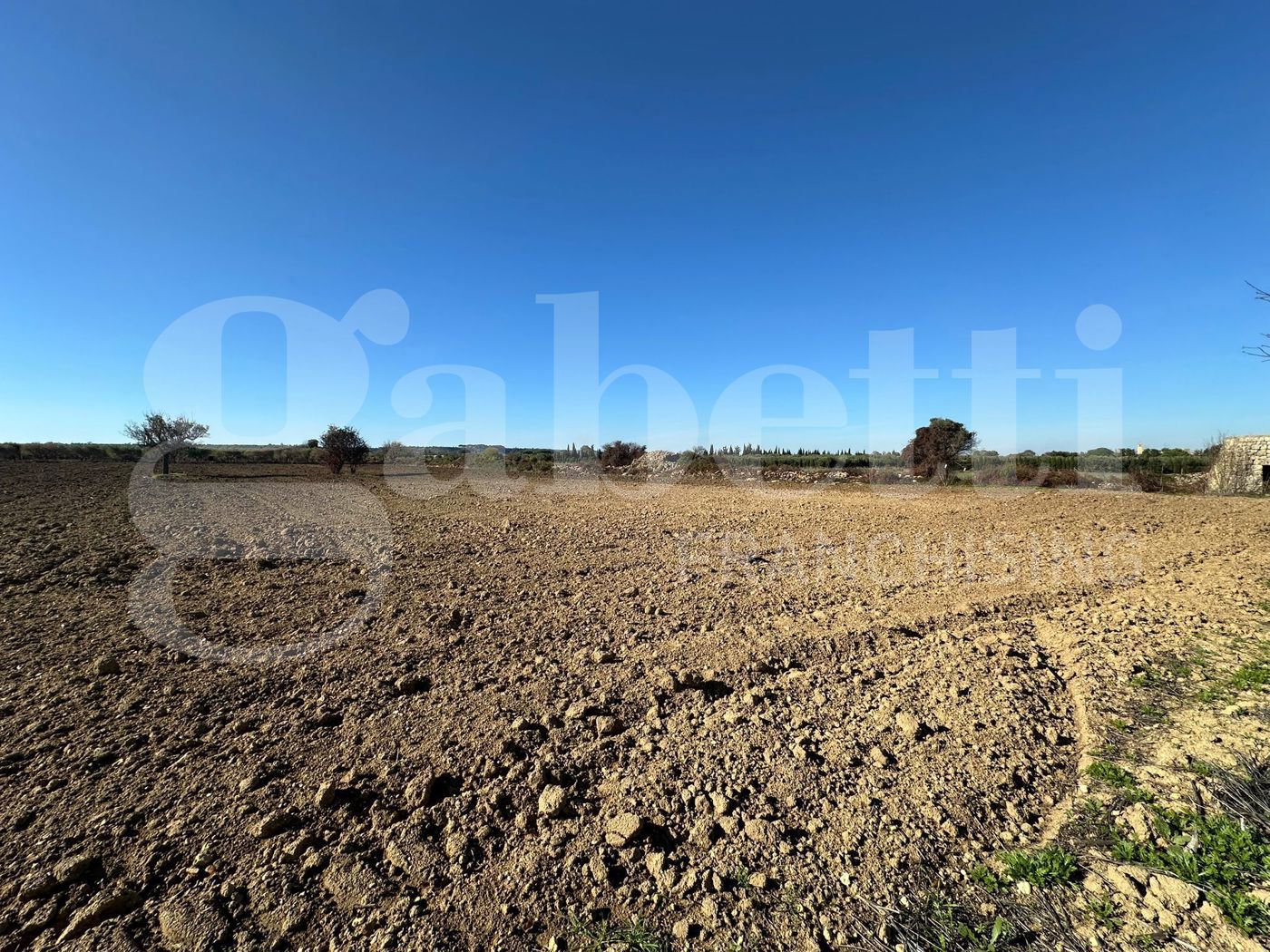 Terreno Agricolo in vendita a Ugento