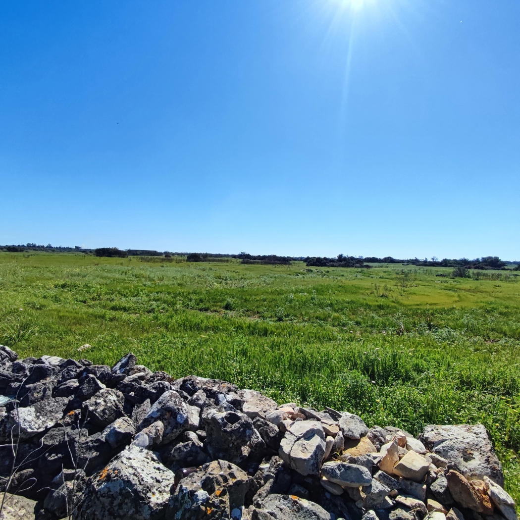 Terreno Agricolo in vendita a Ugento