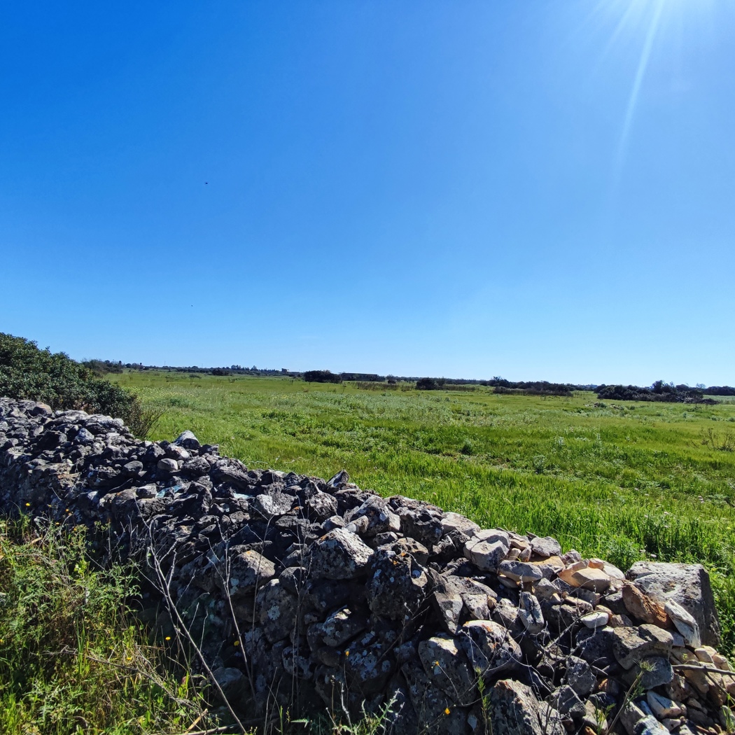 Terreno Agricolo in vendita a Ugento