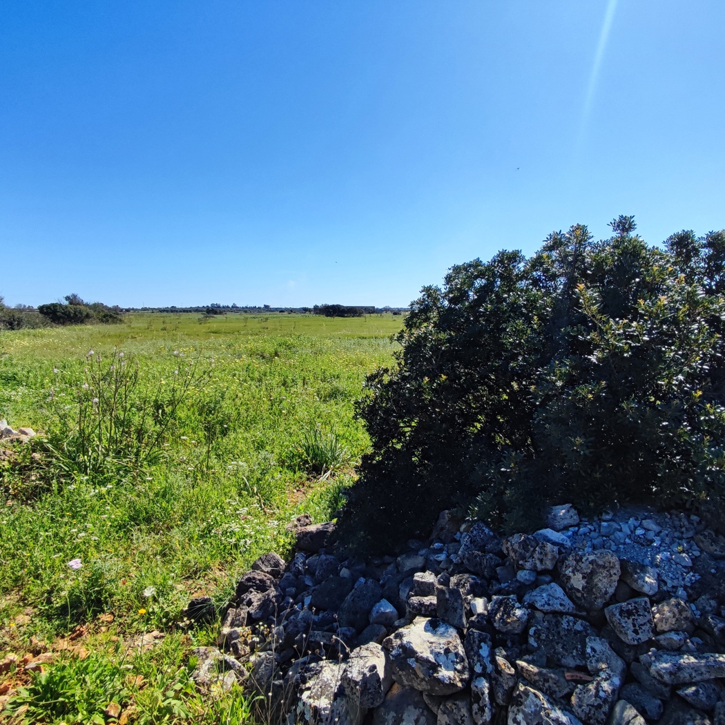 Terreno Agricolo in vendita a Ugento