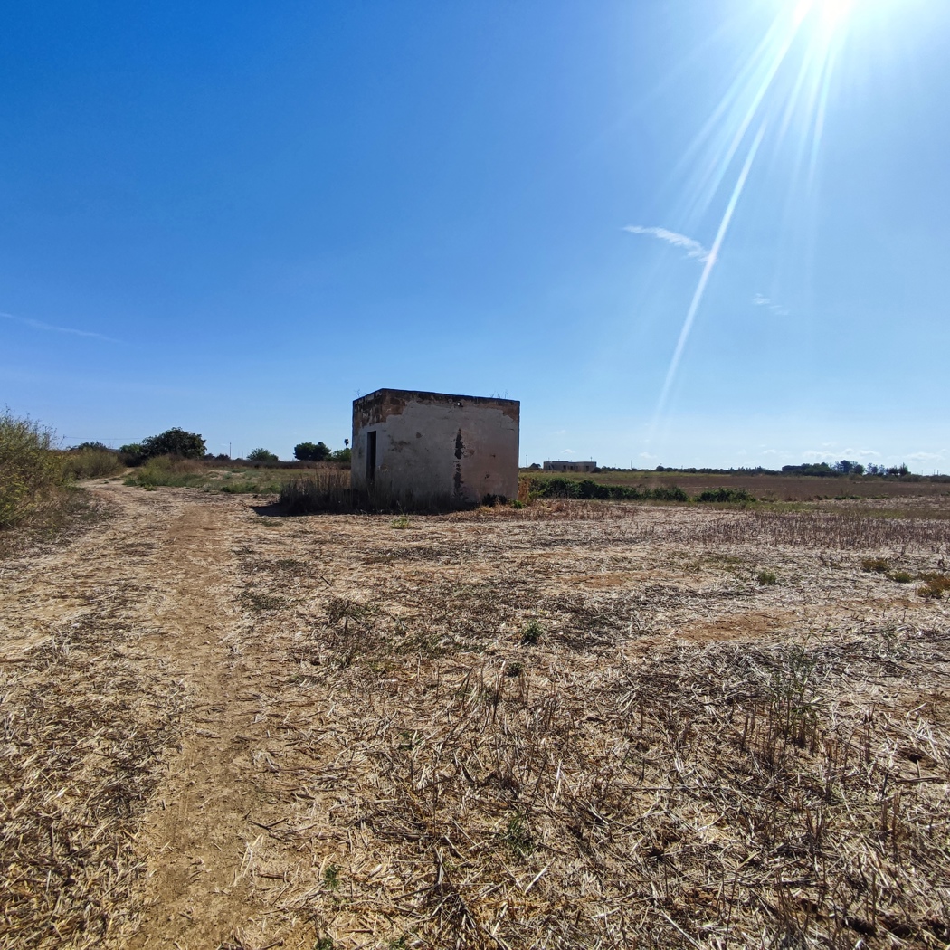Terreno Agricolo in vendita a Alezio