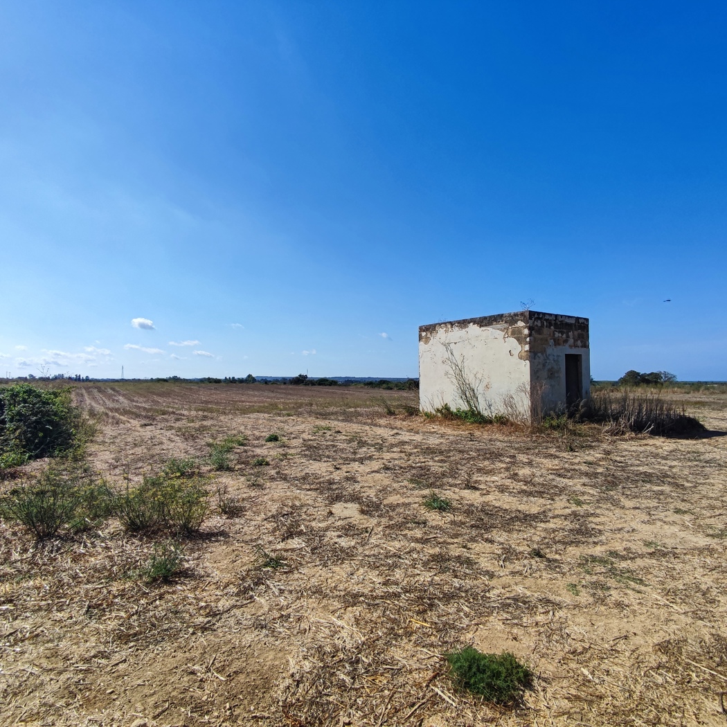 Terreno Agricolo in vendita a Alezio