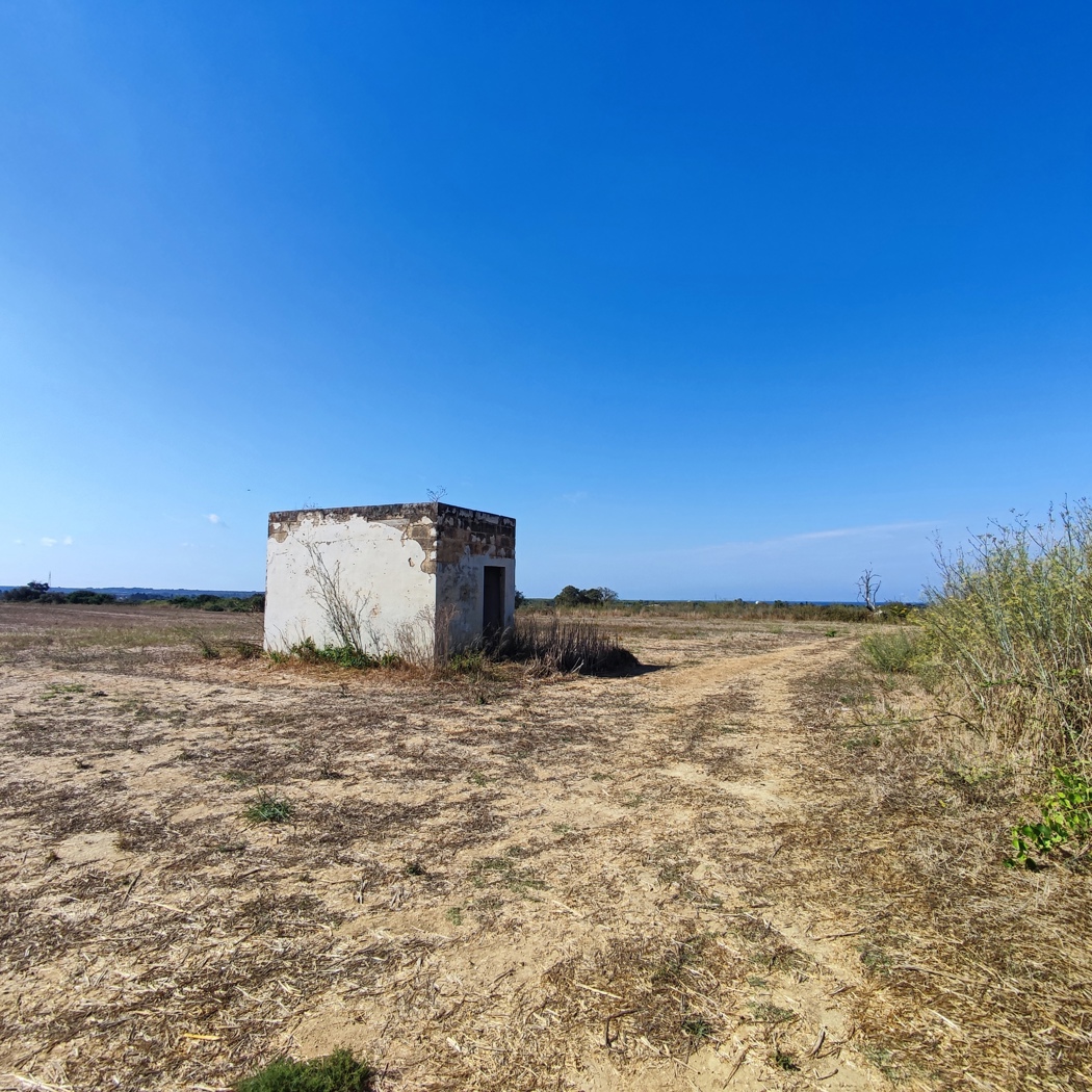 Terreno Agricolo in vendita a Alezio