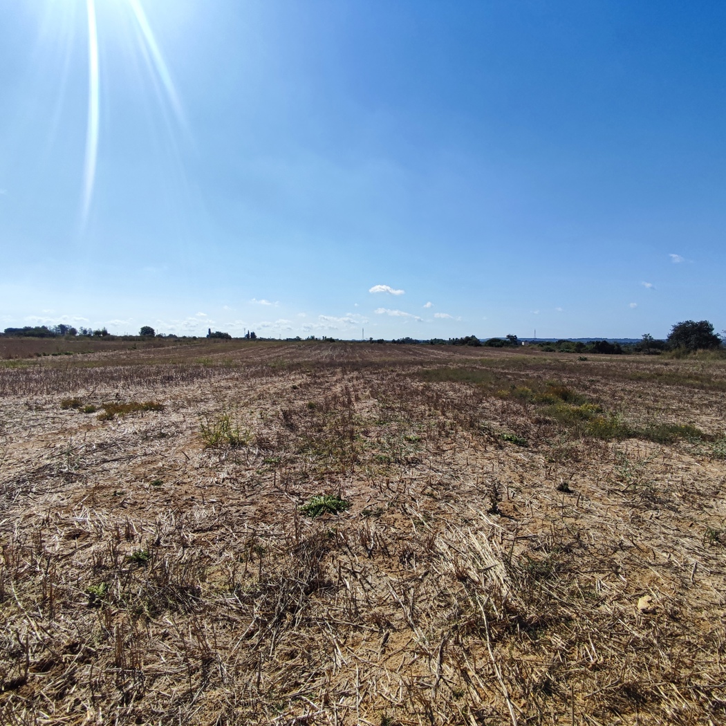 Terreno Agricolo in vendita a Alezio