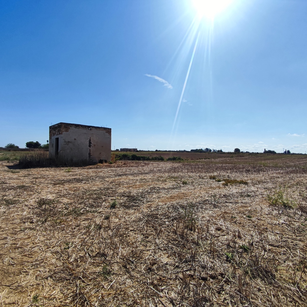 Terreno Agricolo in vendita a Alezio