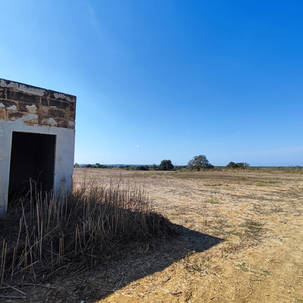 Terreno Agricolo in vendita a Alezio