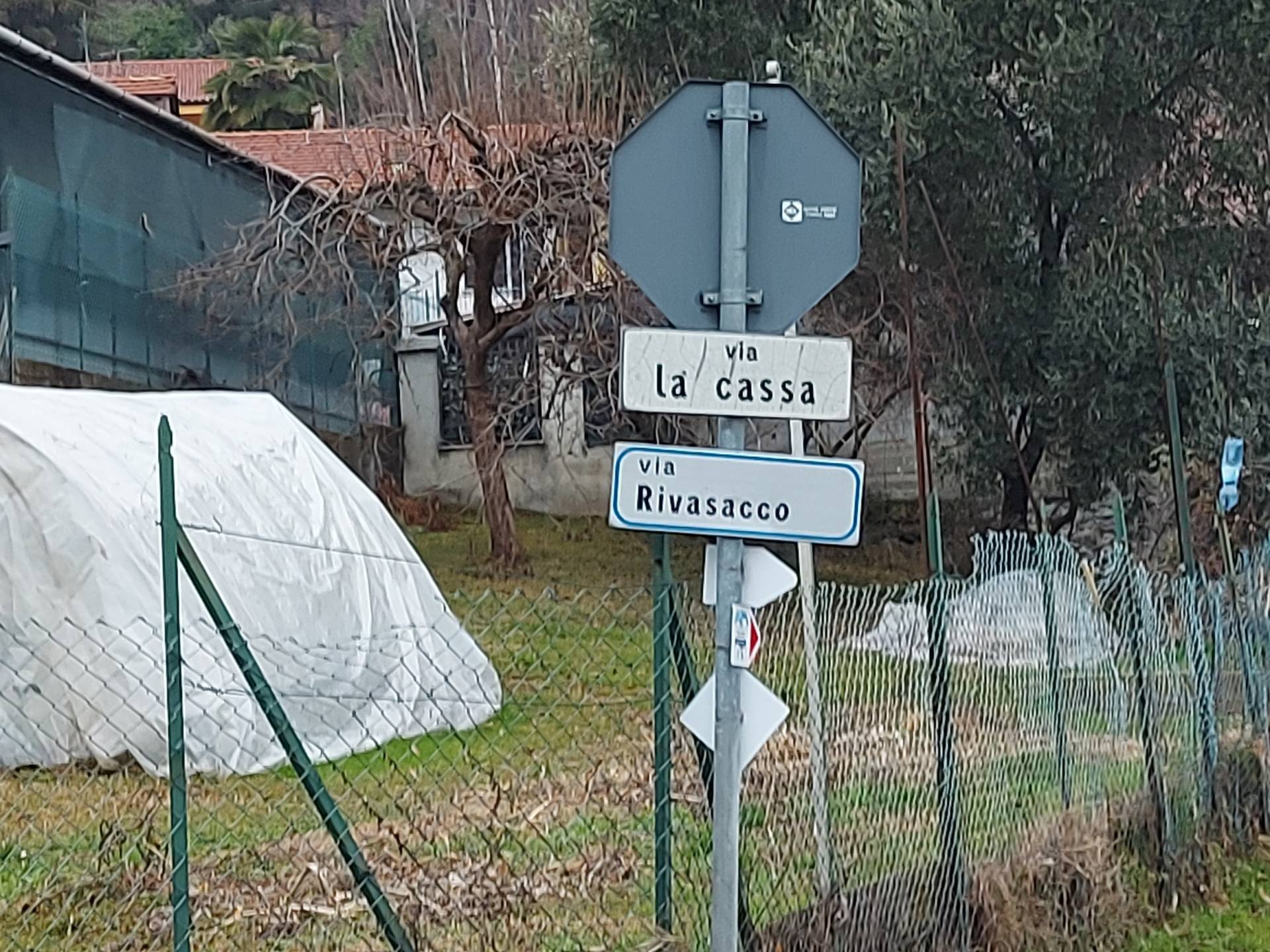 immagine annuncio 3 di 6