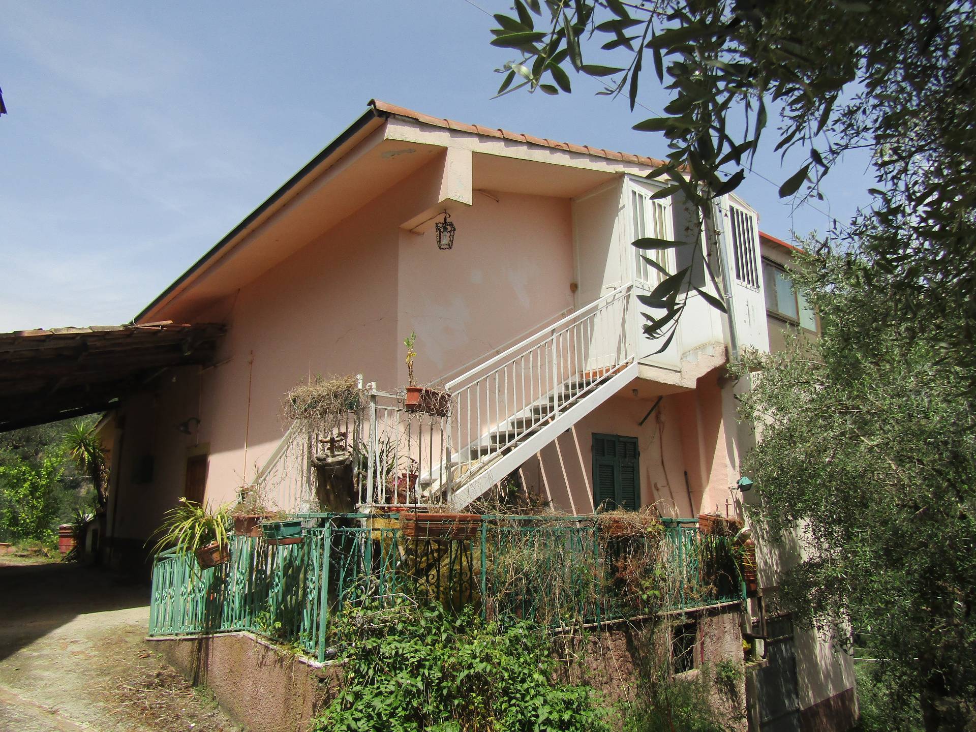 immagine annuncio 4 di 8