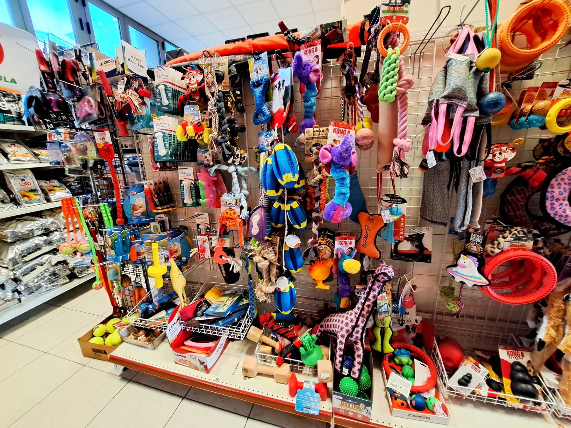 Attivit Commerciale in vendita a Torino, San Paolo