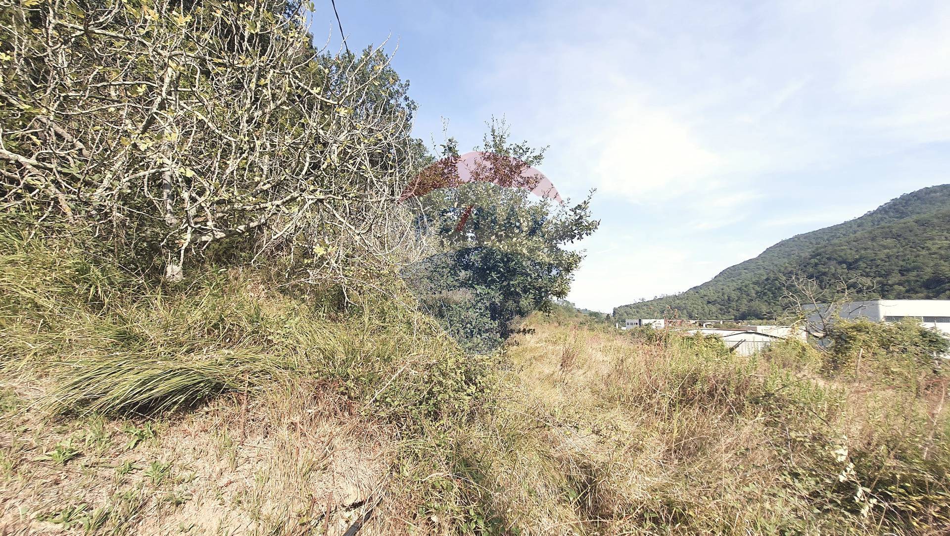 Terreno Industriale in vendita a Ortovero