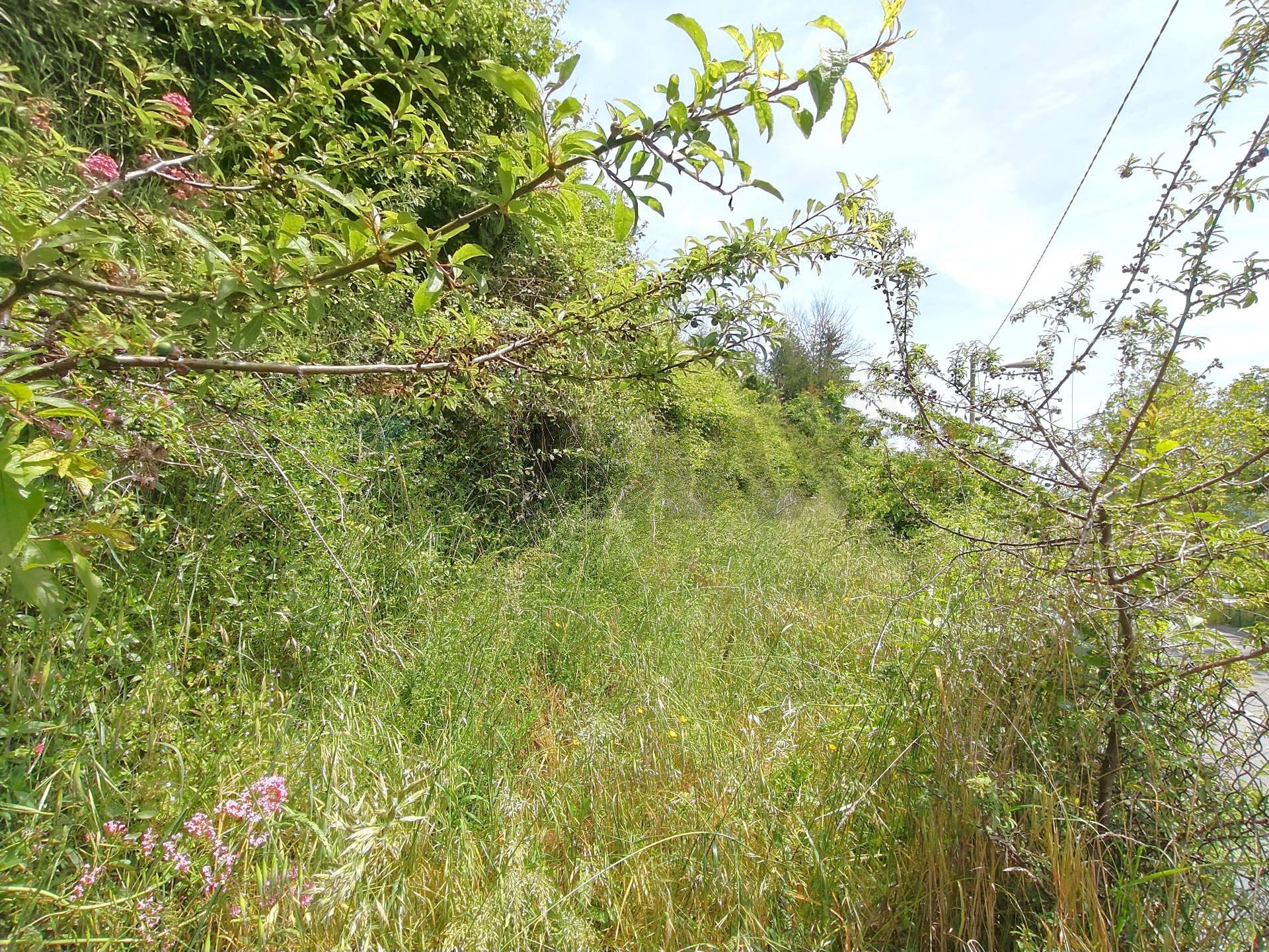 Casa Semindipendente in vendita a Pornassio