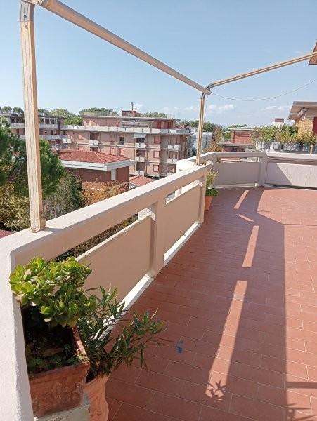 Attico con terrazzo, Massa ronchi