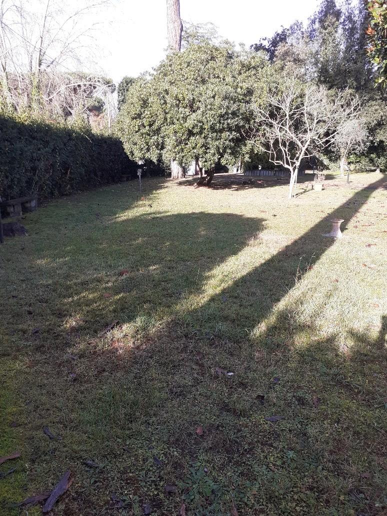Casa indipendente con giardino, Massa poveromo