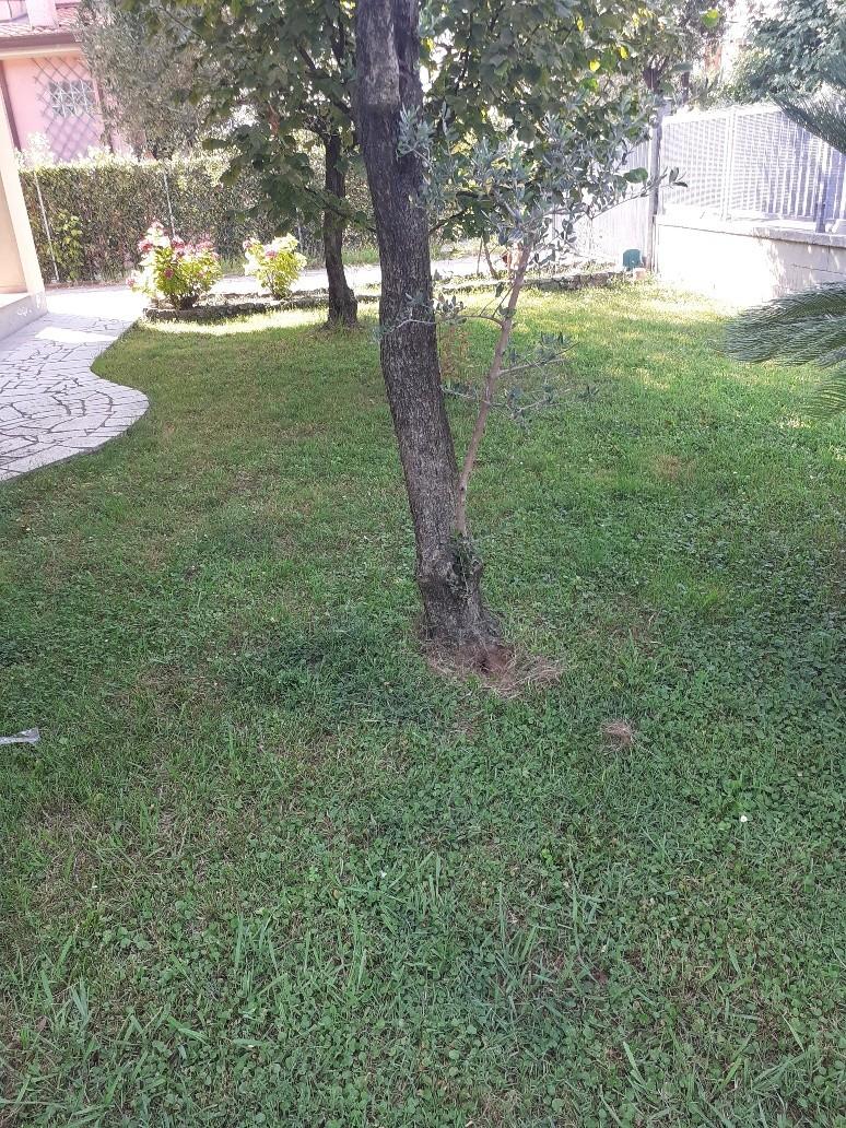 Casa indipendente con giardino, Massa marina di