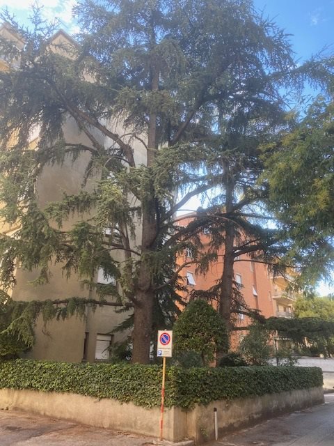 Appartamento in vendita a Foligno