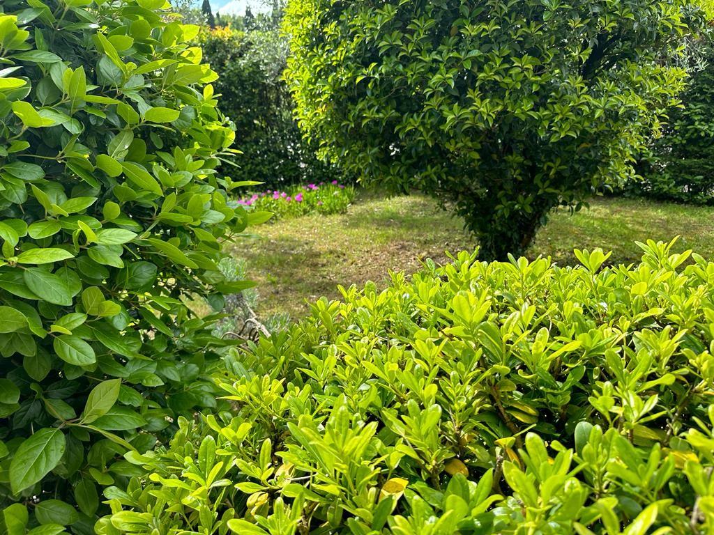 Villa con giardino, Cerreto Guidi bassa