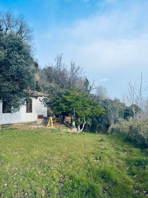 Casa singola in vendita a Cupra Marittima, Collinare