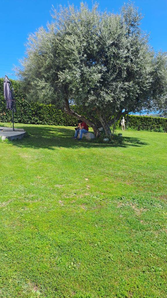 Intero fabbricato / porzione fabbricato in affitto a San Benedetto del Tronto, Collinare