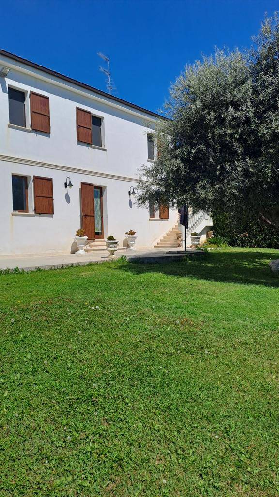 Intero fabbricato / porzione fabbricato in affitto a San Benedetto del Tronto, Collinare