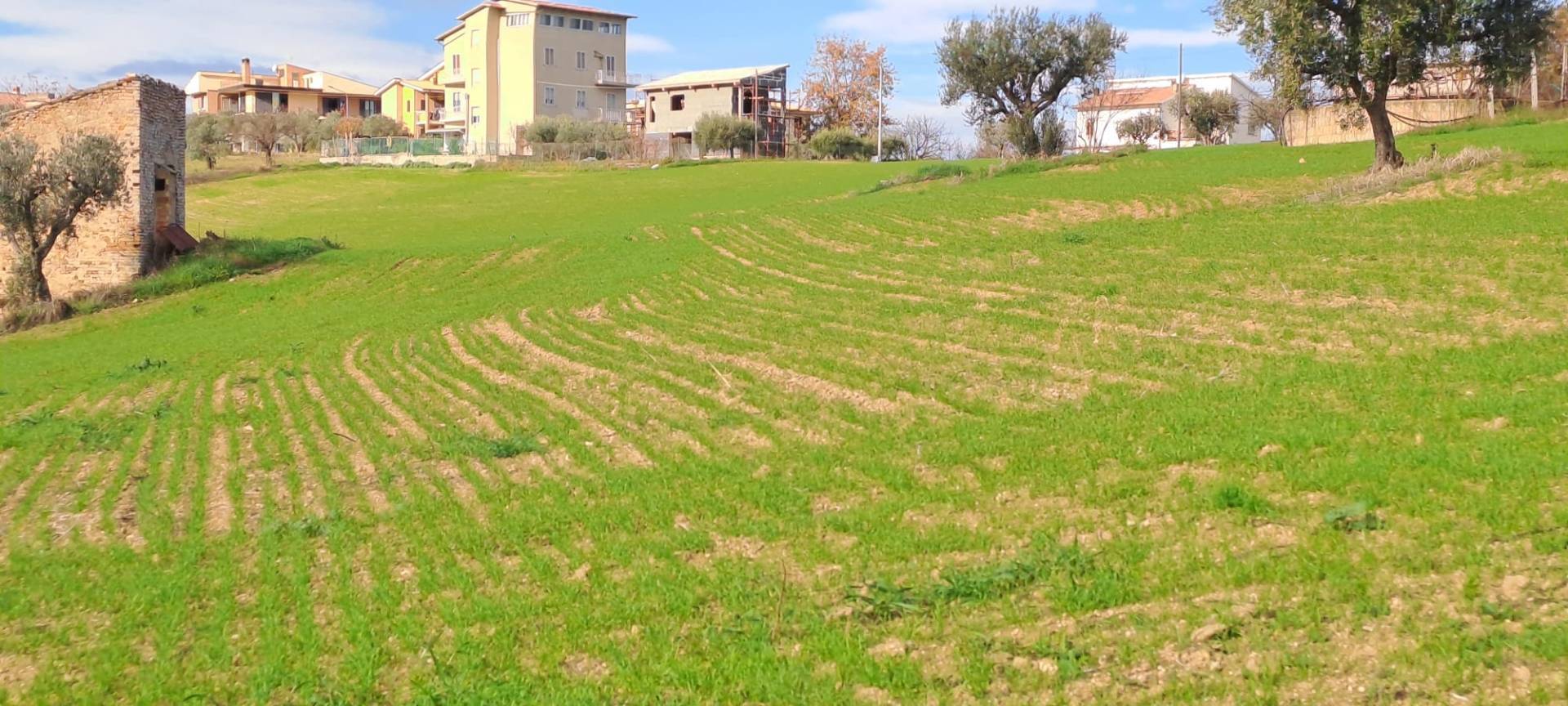 Terreno edificabile in vendita a Massignano, Residenziale