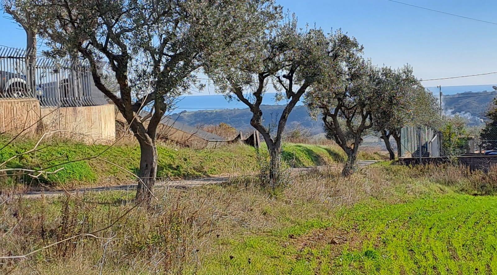 Terreno edificabile in vendita a Massignano, Residenziale