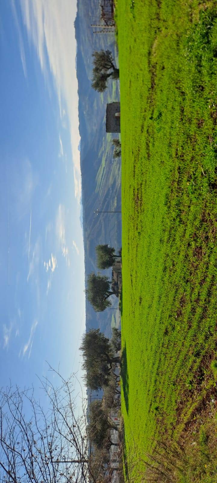 Terreno edificabile in vendita a Massignano, Residenziale
