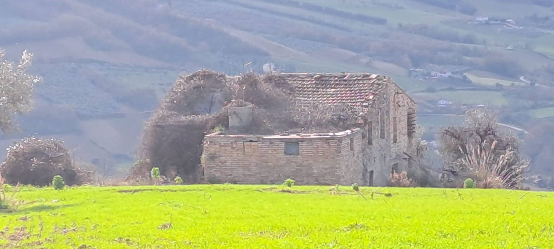 Terreno edificabile in vendita a Massignano, Residenziale