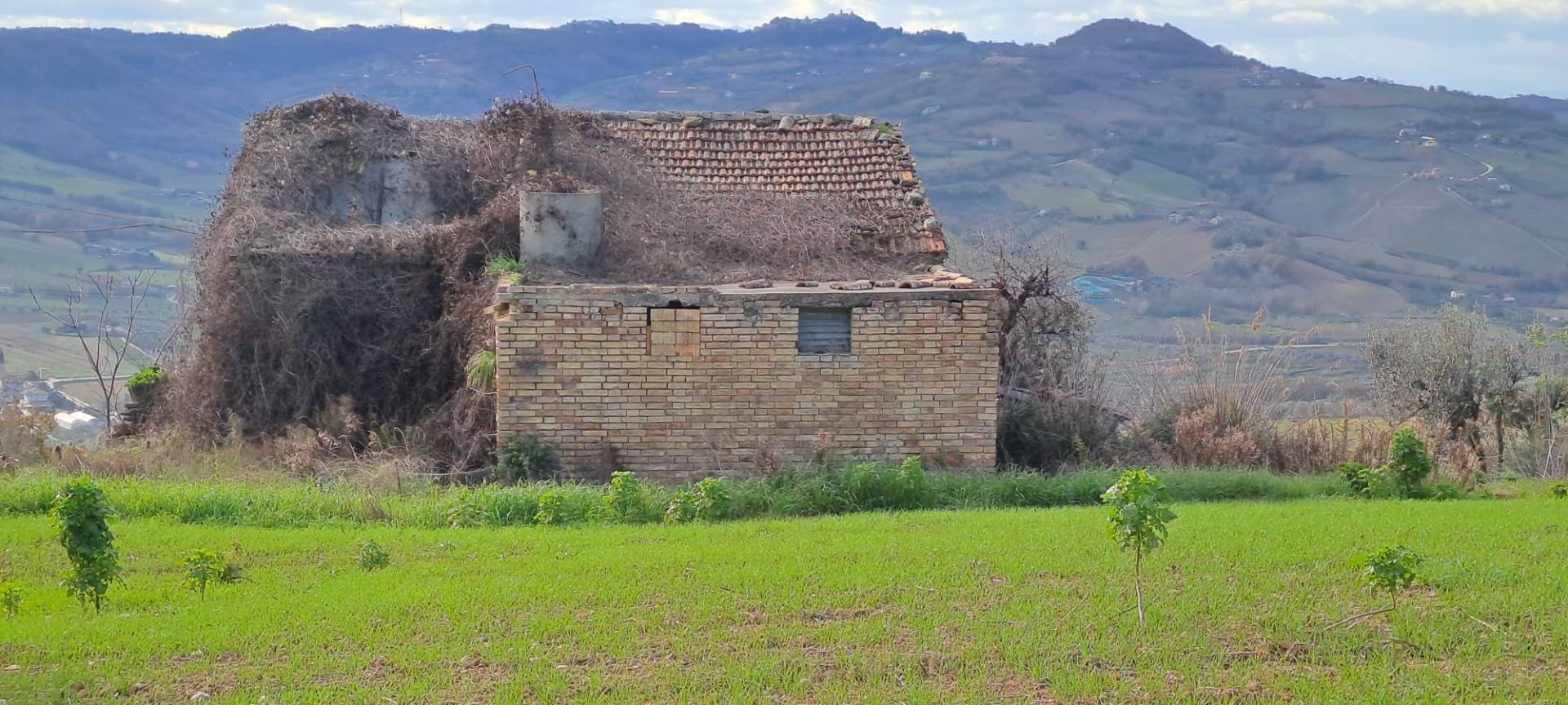 Terreno edificabile in vendita a Massignano, Residenziale