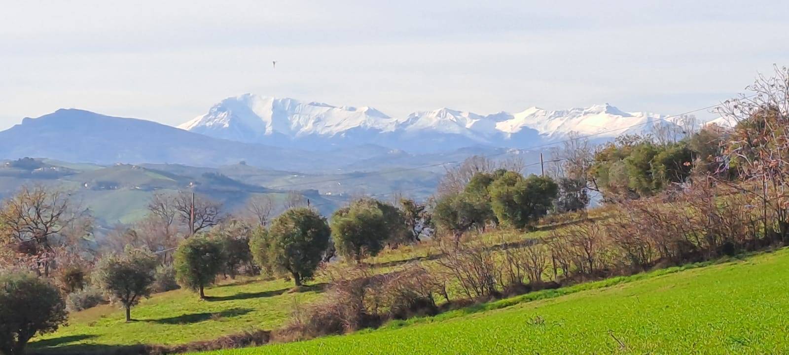 Terreno edificabile in vendita a Massignano, Residenziale