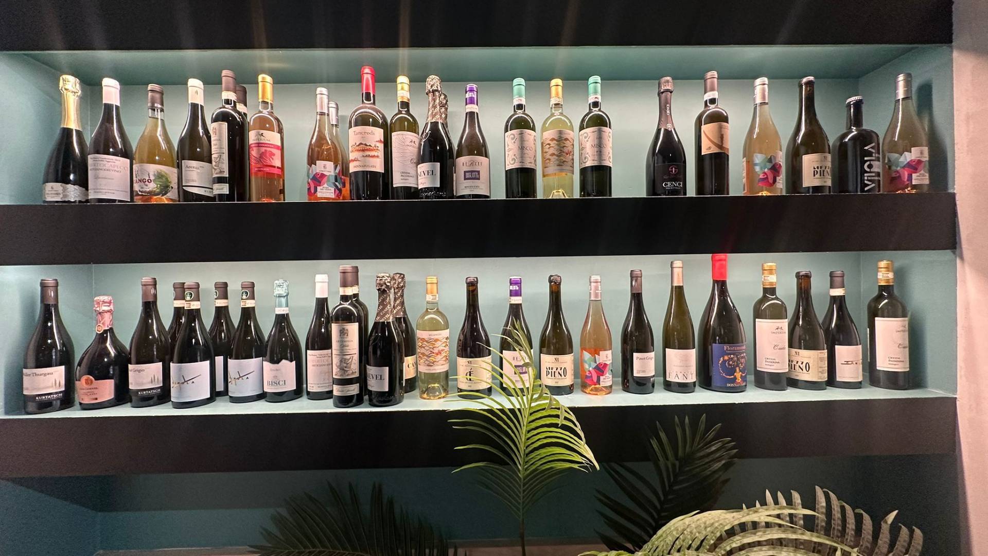 Attivit commerciale in vendita a San Benedetto del Tronto, Centralissima