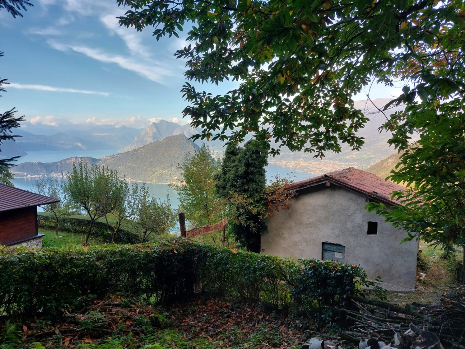 immagine annuncio 6 di 9