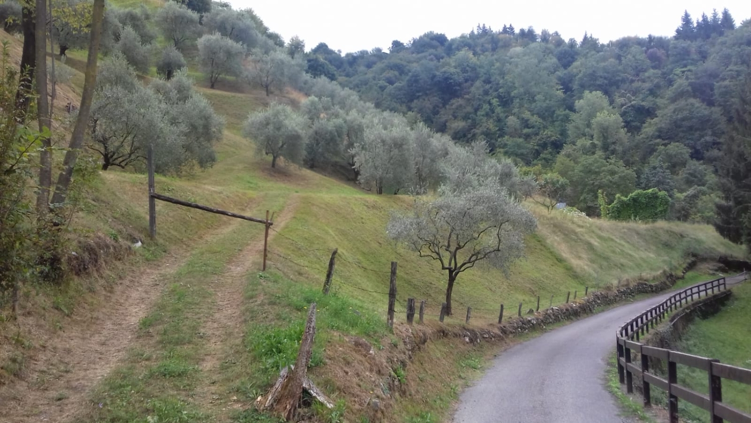immagine annuncio 8 di 9
