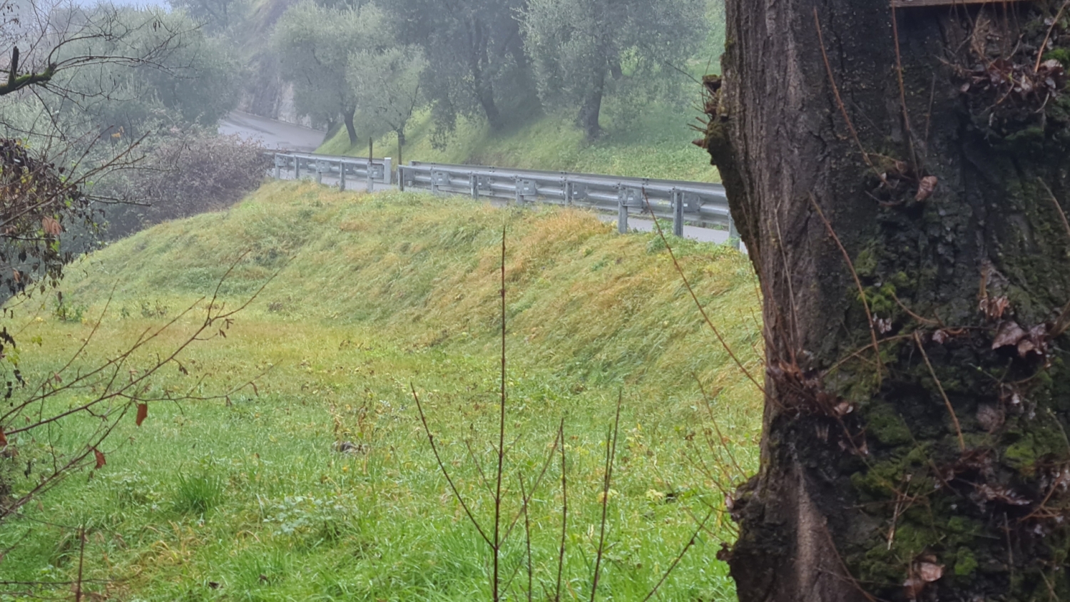 Terreno nuovo a Sulzano