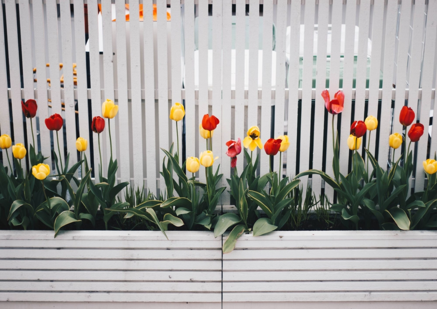 Trilocale con giardino in passirano via luigi cadorna, Passirano