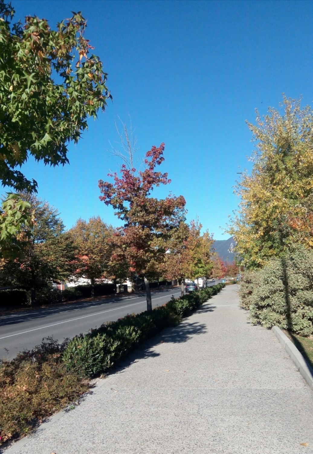 Terreno con giardino in provaglio d'iseo via garibaldi, Provaglio d'Iseo
